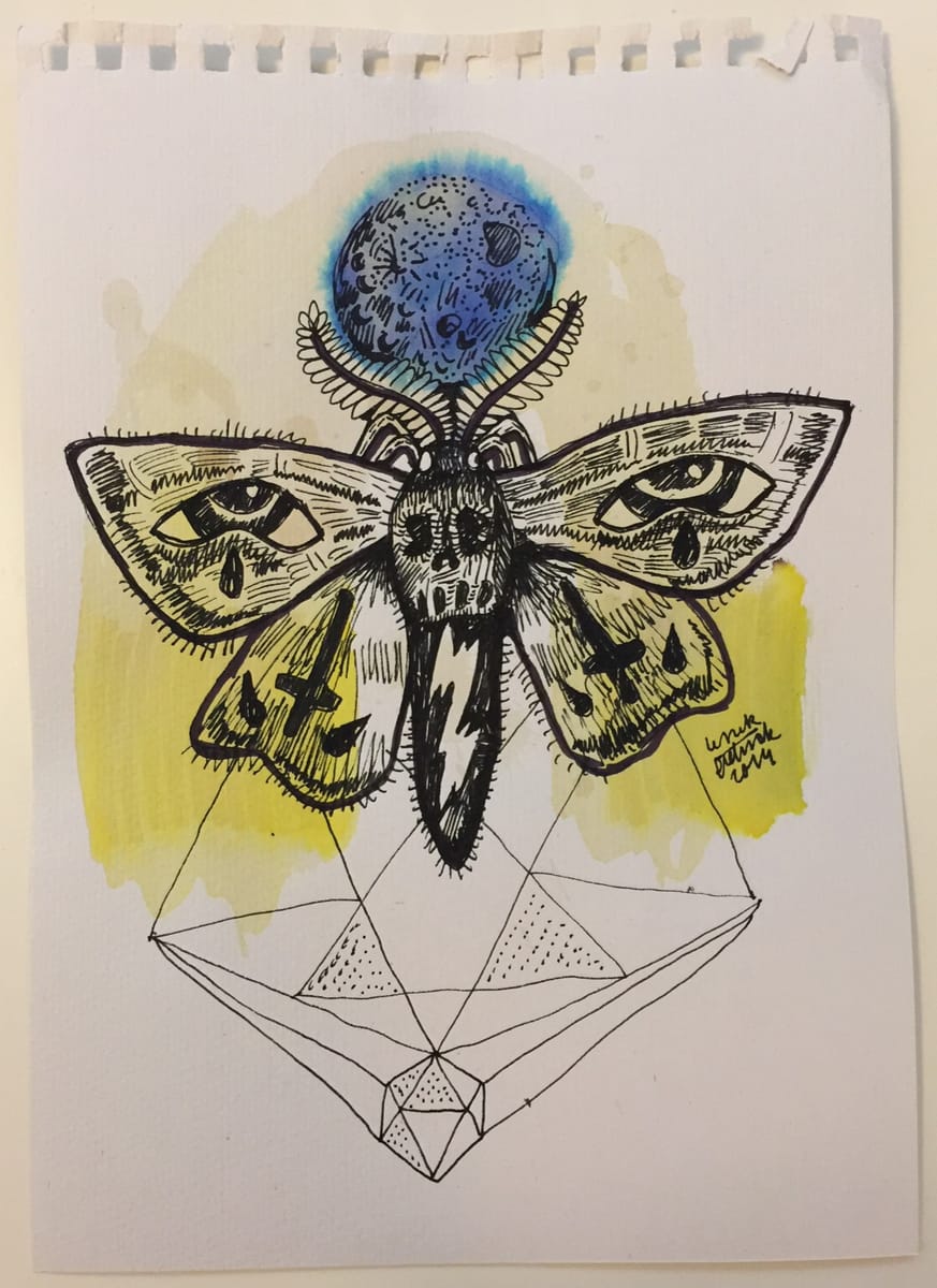 moth-7-2014-poor-quality-photo